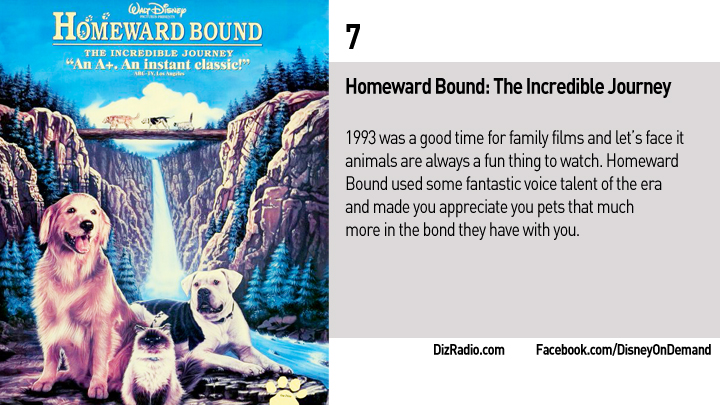 Homeward-Bound-7-DizRadio
