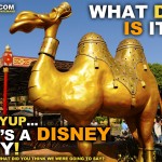 "What Day Is It? Yup, Yup...It's A Disney Day! What Did You Think We Were Going to Say?"