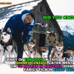 "Did you Know? Many of the Dogs Used in this Disney Classic were also used in the Disney Family Fun Film Eight Below"