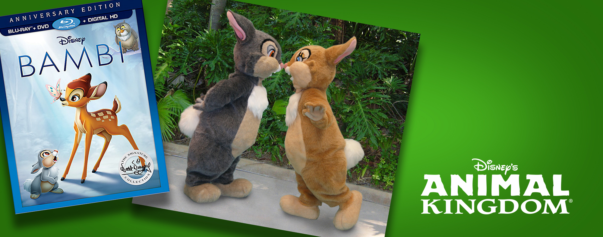 75th Anniversary of ‘Bambi’ Brings a Special Meet & Greet to the Parks and PhotoPass Exclusives!